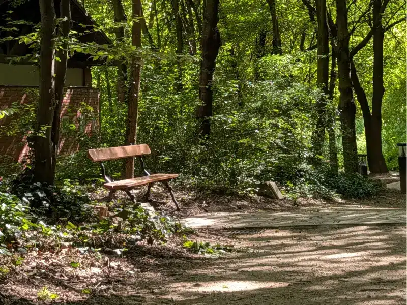 Jardin PE -Banc