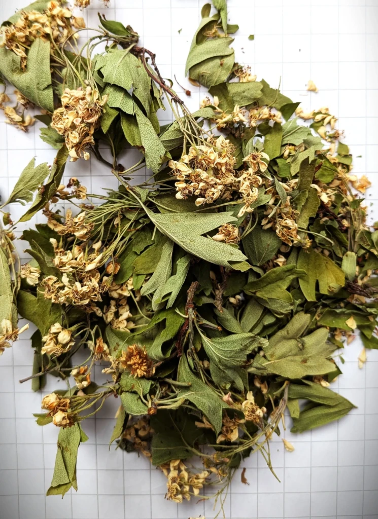 Aubépine séchée