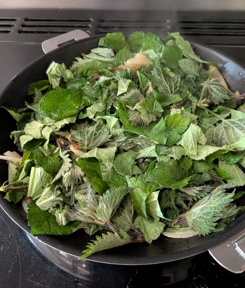 Cuisine sauvage à la berce commune ortie poëlée